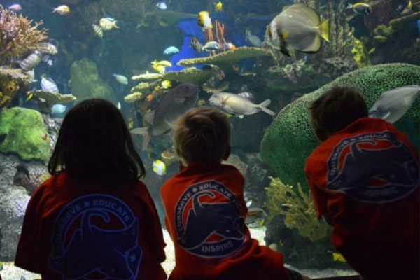 ToDoOntario - Ripley's Aquarium of Canada, Summer Camp