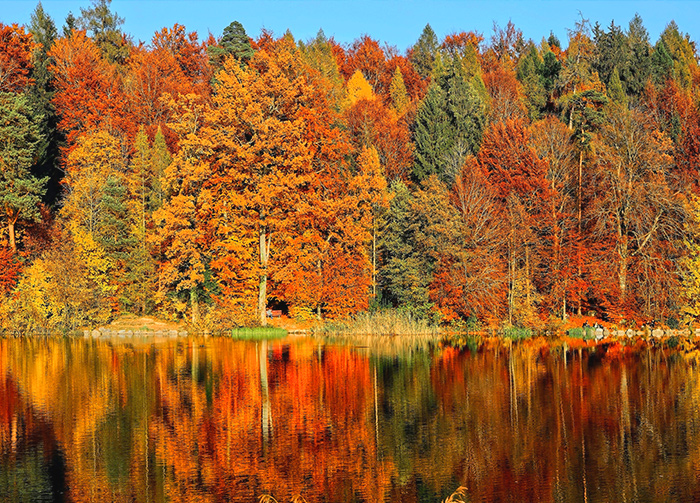 Ontario Fall Colour Report ToDoOntario