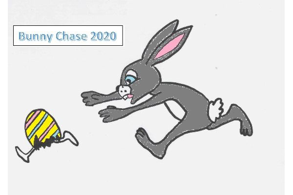To Do Ontario - Haliburton Forest Bunny Chase 2020