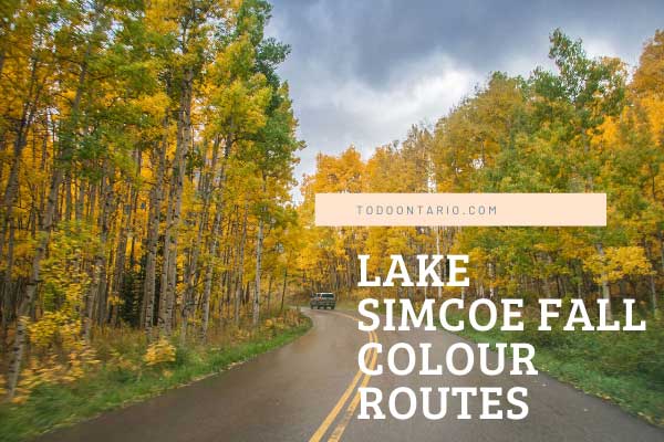 ToDoOntario, Lake Simcoe Fall Colour Routes