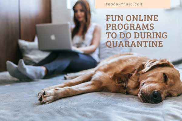 Online Programs To Do During Quarantine