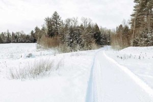 ToDoOntario - Abbey Garden winter trails