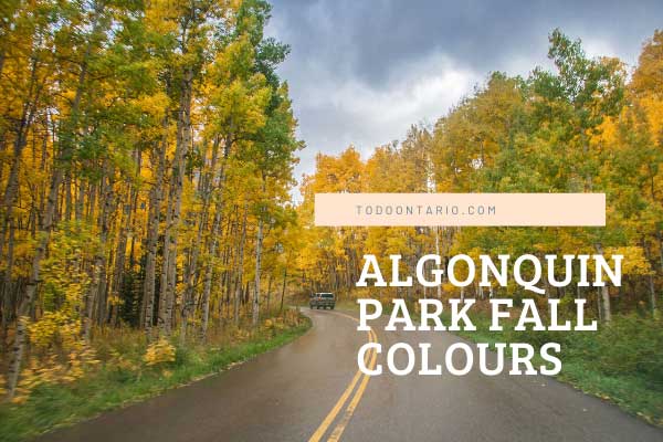 ToDoOntario, Algonquin Park Fall Colours