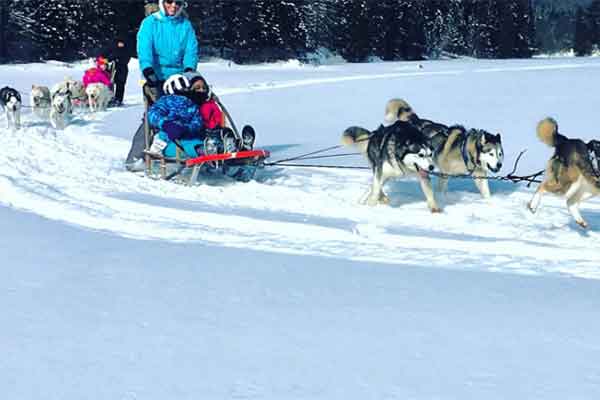 ToDoOntario - Algonquin Park Voyageur Quest, winter dogsledding