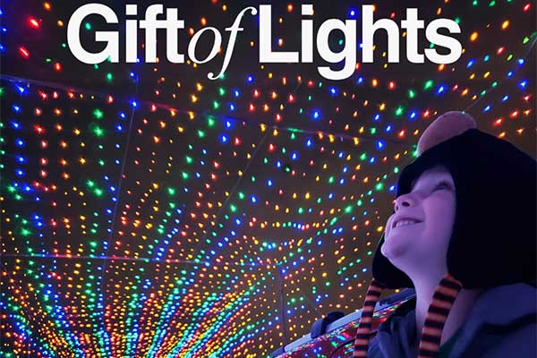 ToDoOntario - Bingemans, Gift of Lights