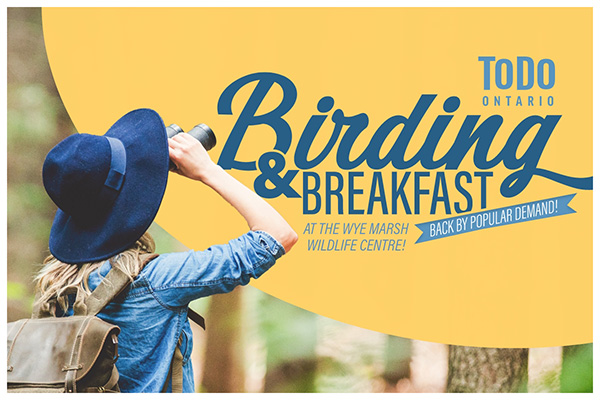 ToDoOntario - Birding & Breakfast Experience