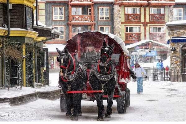 ToDoOntario - Blue Mountain Village, Holiday Magic