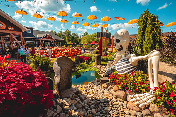 ToDoOntario - Deerhurst Resort, Sandhill Nursery skeleton
