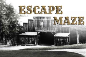 ToDoOntario - Escape Maze