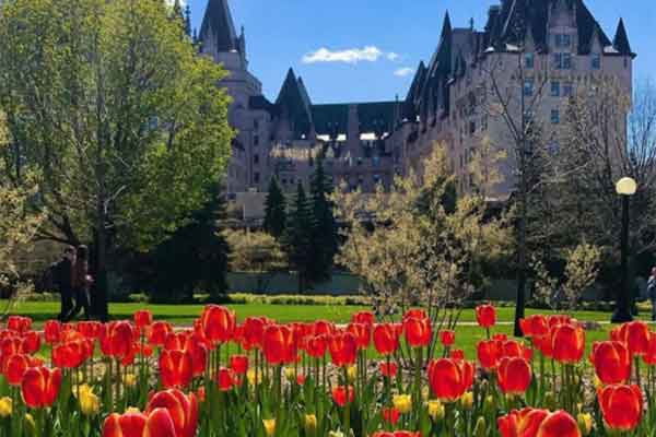 ToDoOntario - Fairmont Chateau Laurier, Ottawa Tulip Festival