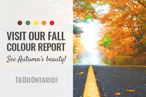 Ontario Fall Colours Road Trips & Drives