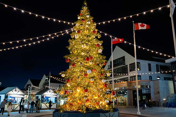 ToDoOntario - Friday Harbour Resort, Christmas Tree
