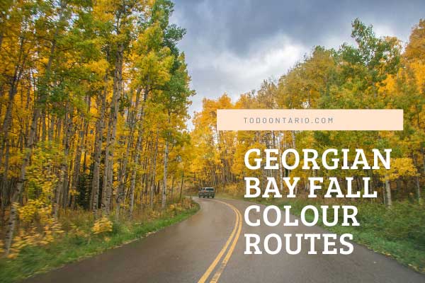 ToDoOntario, Georgian Bay Fall Colour Routes