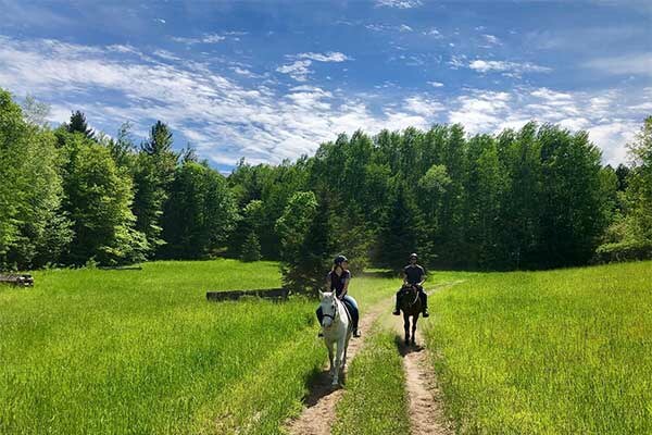 ToDoOntario - Glen Oro Farm - horse trails