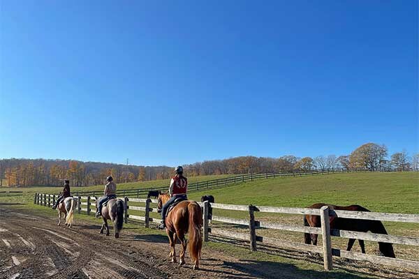 ToDoOntario - Glen Oro Farm, horse back riding