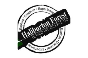 ToDoOntario, Haliburton Forest & Wildlife Preserve logo