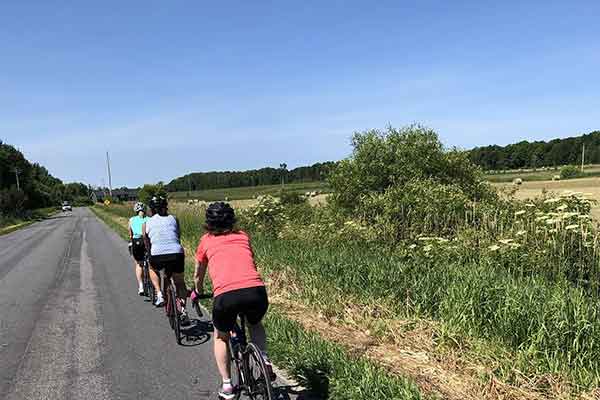 ToDoOntario - Humdinger Bicycle Tours, summer tours