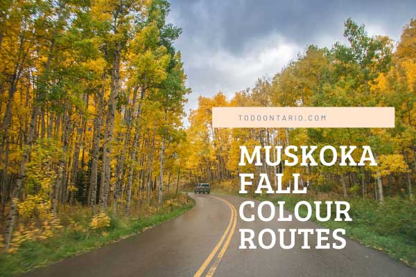 ToDoOntario, Muskoka Fall Colour Routes