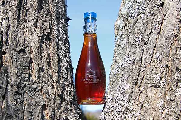 ToDoOntario - Muskoka Lakes Farm & Winery maple syrup