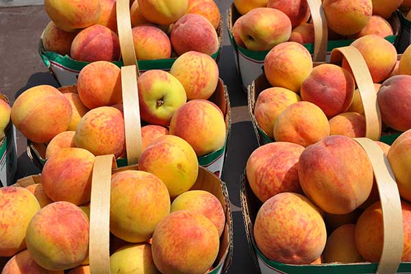 ToDoOntario - Ontario peaches