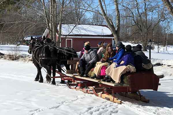 ToDoOntario - Pine Vista Resort, winter sleigh ride
