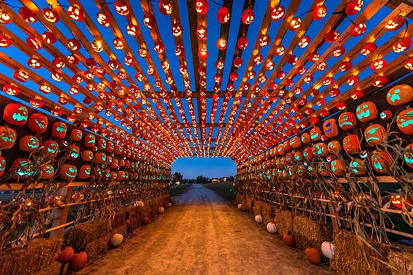 ToDoOntario - Pumpkins After Dark, pumpkin tunnel