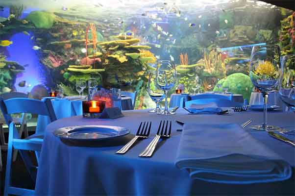 ToDoOntario - Ripley's Aquarium of Canada, Dinner Table