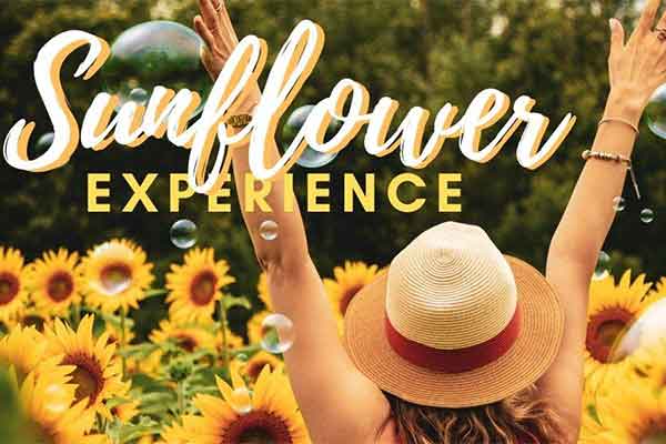 ToDoOntario, Rounds Ranch Sunflower Experience