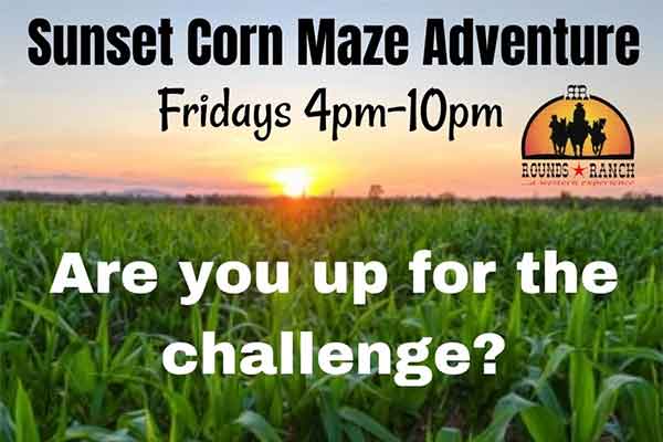 ToDoOntario - Rounds Ranch, Sunset Corn Maze Adventure