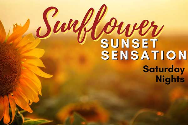 ToDoOntario - Rounds Runch, Sunflower Sunset Sensation