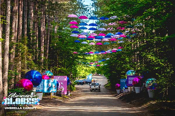 ToDoOntario - Sandhill Nursery, Glimmer Globes & Umbrella Canopy, driveway
