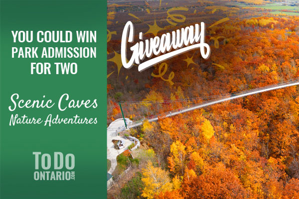 ToDoOntario Scenic Caves Fall Passes Giveaway