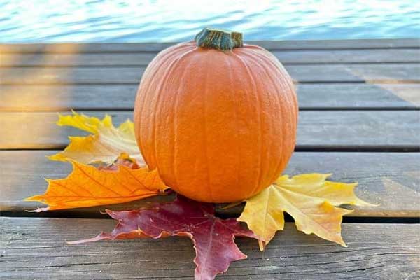 ToDoOntario - Severn Lodge, pumpkin fall