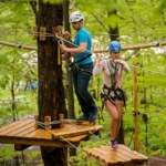ToDoOntario - Treetop Trekking
