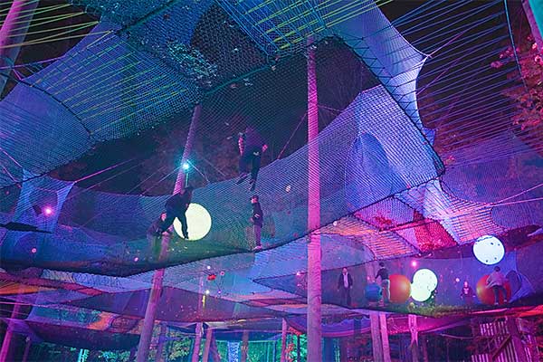 ToDoOntario - Treeetop Trekking, Upla Aglow