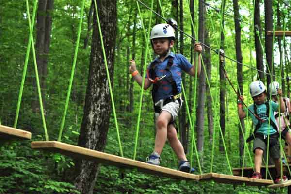 ToDoOntario - Treetop Trekking, kids activities