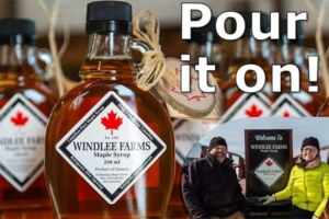 ToDoOntario - Windlee Farms maple syrup