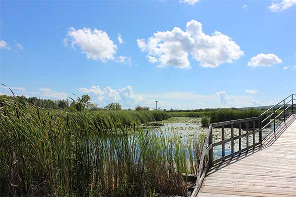 Wye Marsh Announces Free Trail Access for Indigenous People