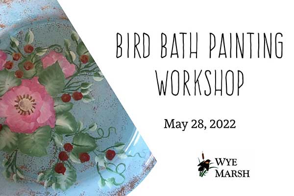 ToDoOntario - Wye Marsh, bird bath painting workshop