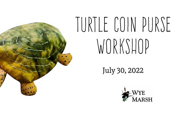ToDoOntario - Wye Marsh, turtle coin purse workshop