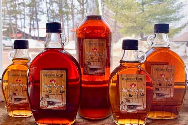 ToDoOntario - Yours Outdoors Maple Syrup