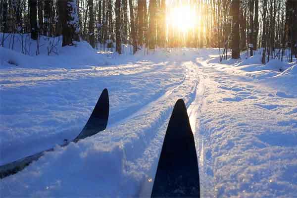 ToDoOntario - Yours Outdoors, cross country skiing