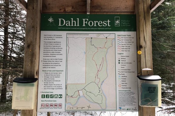 ToDoOntario - YoursOutdoors, Dahl Forest