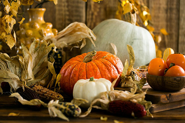 ToDoOntario - Fall gourds and pumpkins