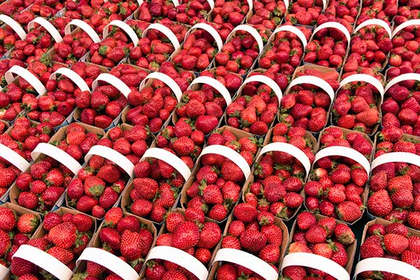 ToDoOntario - market strawberries
