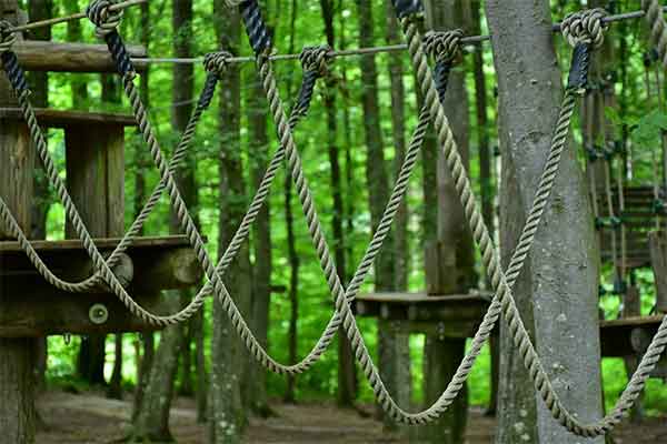 ToDoOntario - high ropes courses
