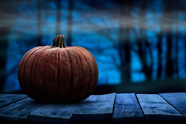 ToDoOntario - spooky boardwalk and pumpkin
